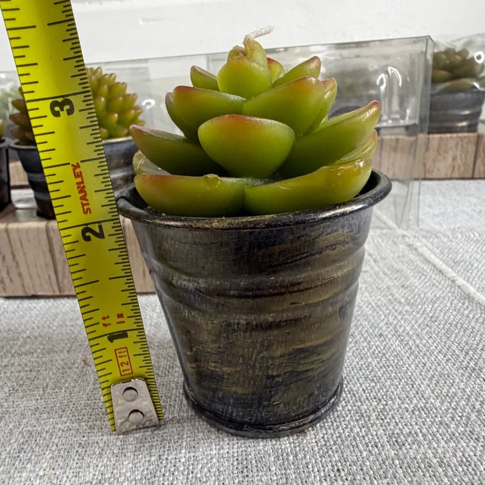 Ashland candles potted